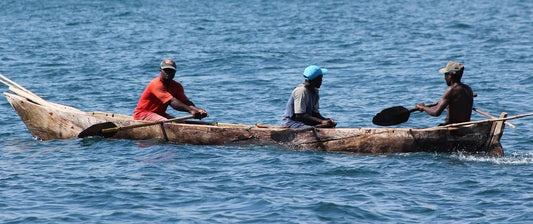 The Wasini Community Marine Conservation Reef