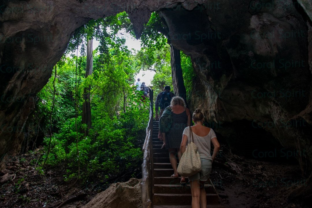 The Cave Explorer