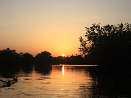 Kongo River Sunset Tour