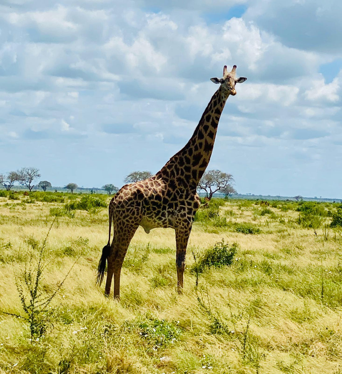 5 reasons to visit Kenya