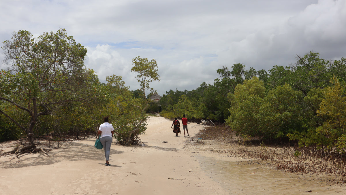 Gazi Mangrove Tour and Boat Trip