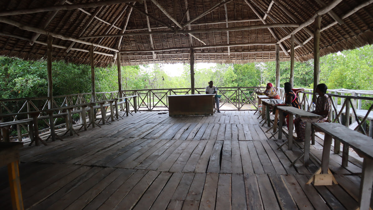 Gazi Mangrove Tour and Boat Trip