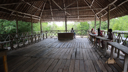 Gazi Mangrove Tour and Boat Trip