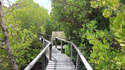 Gazi Mangrove Tour and Boat Trip