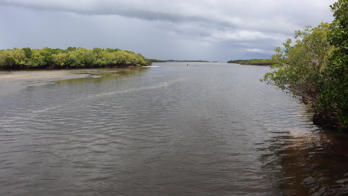 Gazi Mangrove Tour and Boat Trip