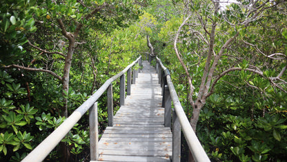 Gazi Bird-Watching Trip