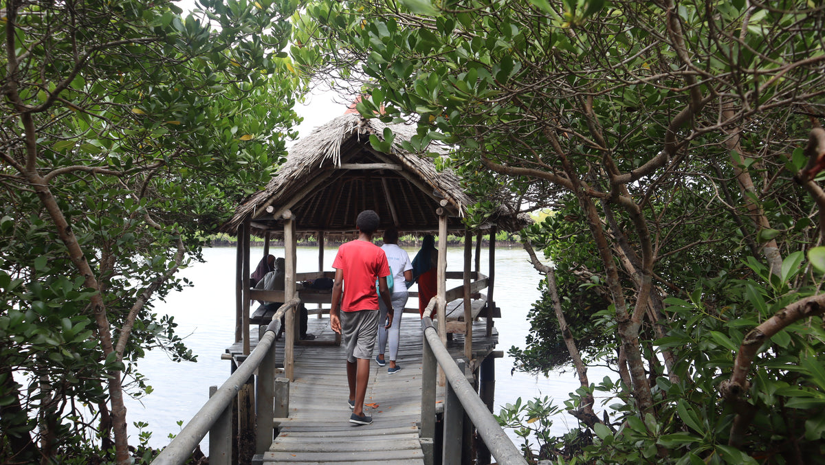 Gazi Bird-Watching Trip