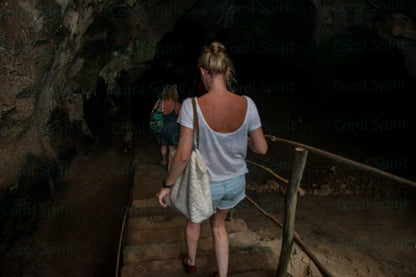 The Cave Explorer