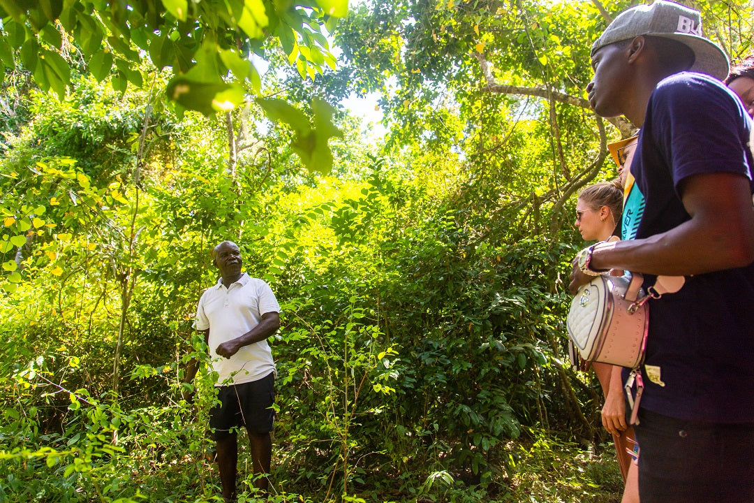 Chale Island day trip with lunch