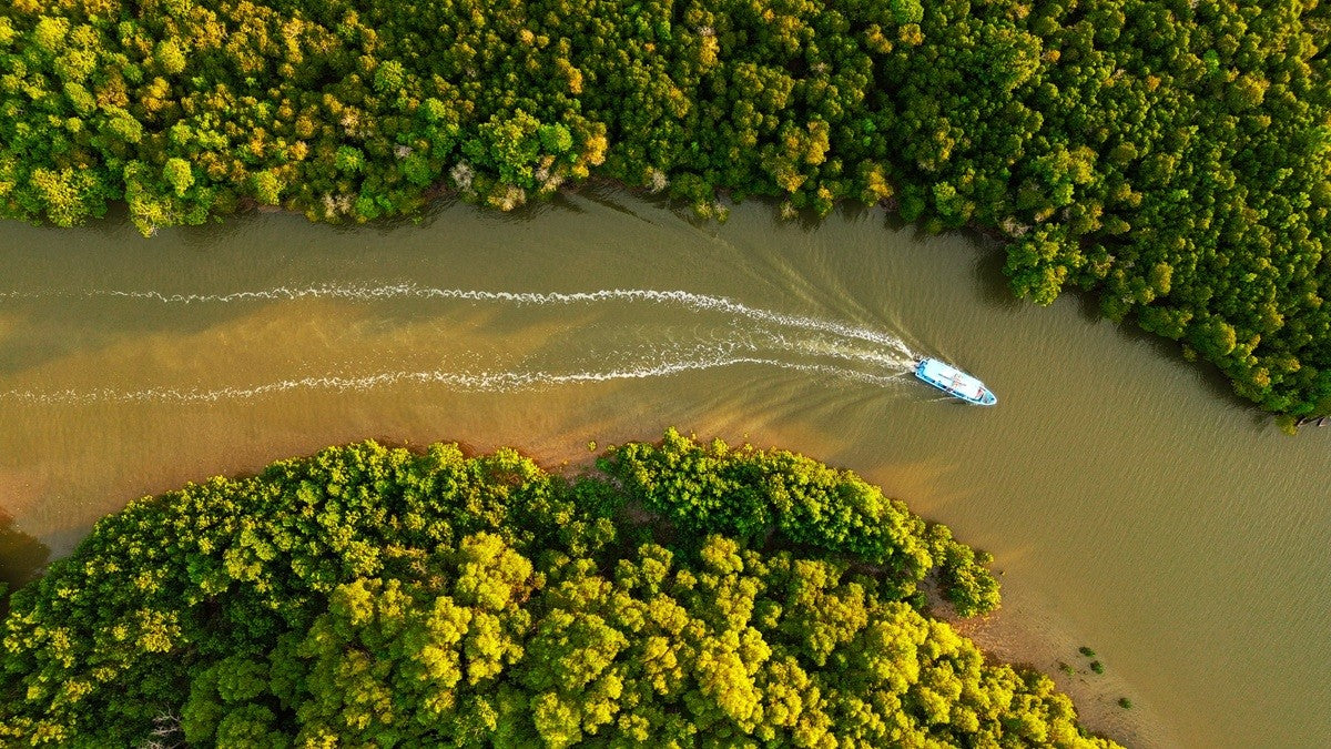 Aerial view of a boat traveling through a river surrounded by lush mangrove forest in Ramisi, Kenya.
