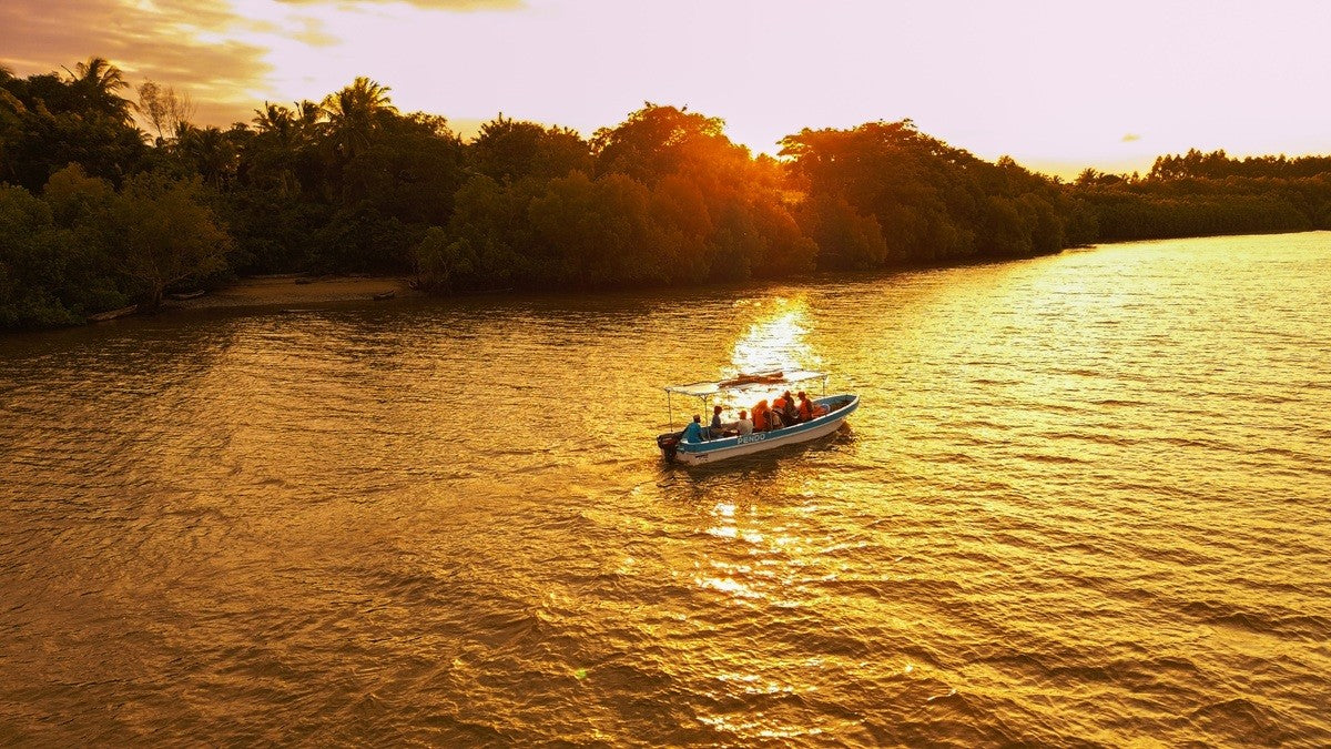 Boat on a river with sunset and trees in the background