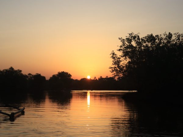 Kongo River Sunset Tour