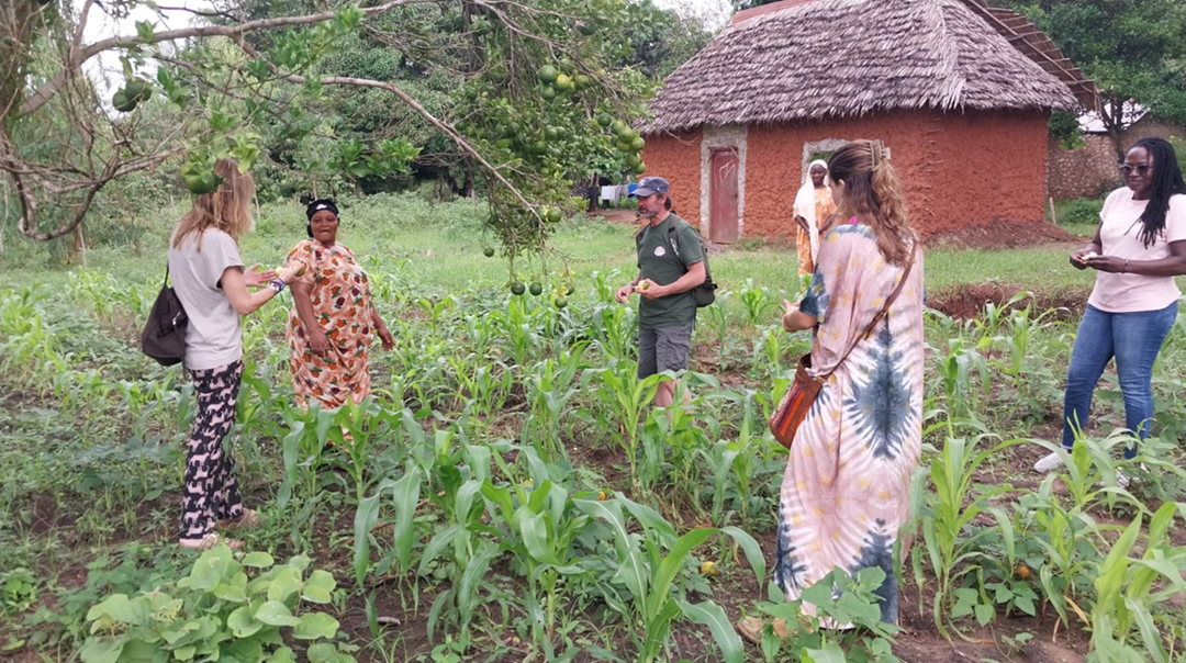 Village Tour: Cultural Experience