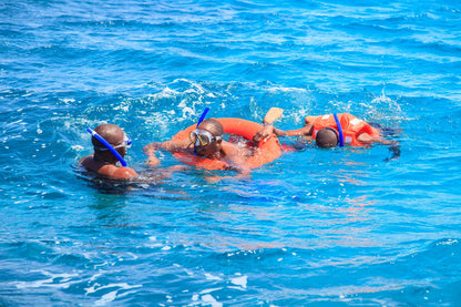 Four people snorkeling in clear blue water